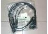Cables d'allumage Ignition Wire Set:22450-03J25